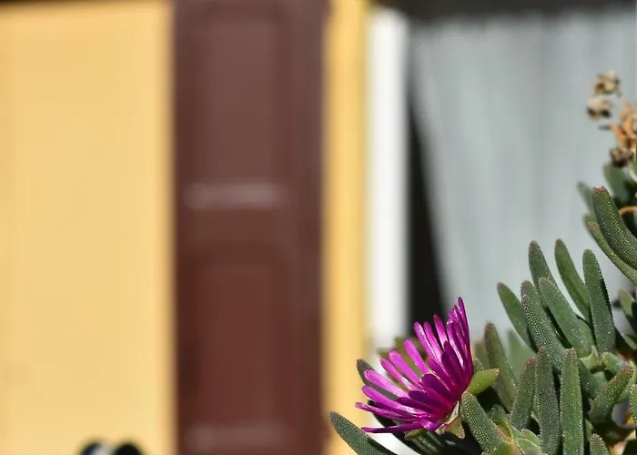 아파트 Casa Demarchi