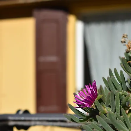 Appartement Casa Démarchi